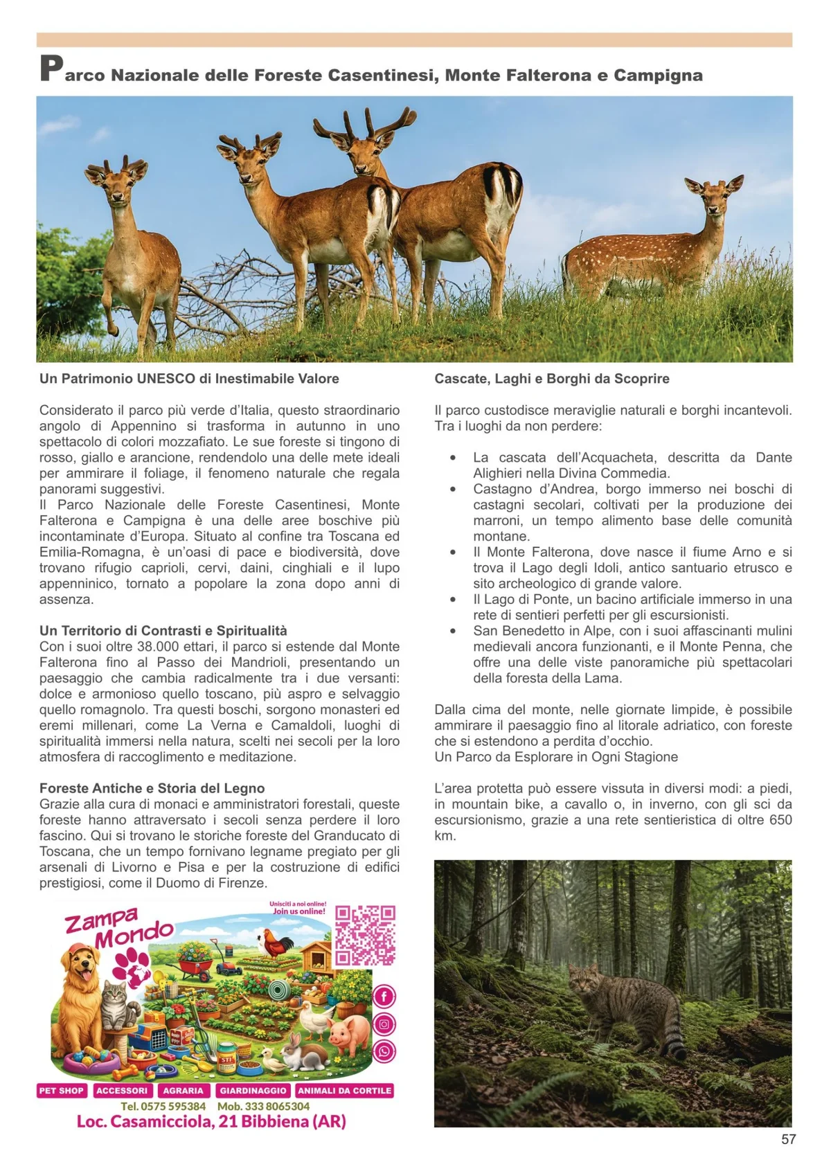 Parco Nazionale Foreste Casentinesi