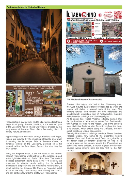 Pagina 11 della guida