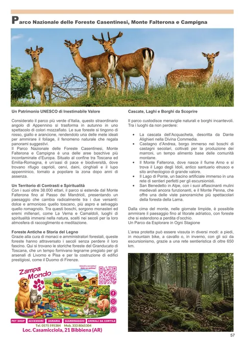 Parco Nazionale delle Foreste Casentinesi - guida turistica